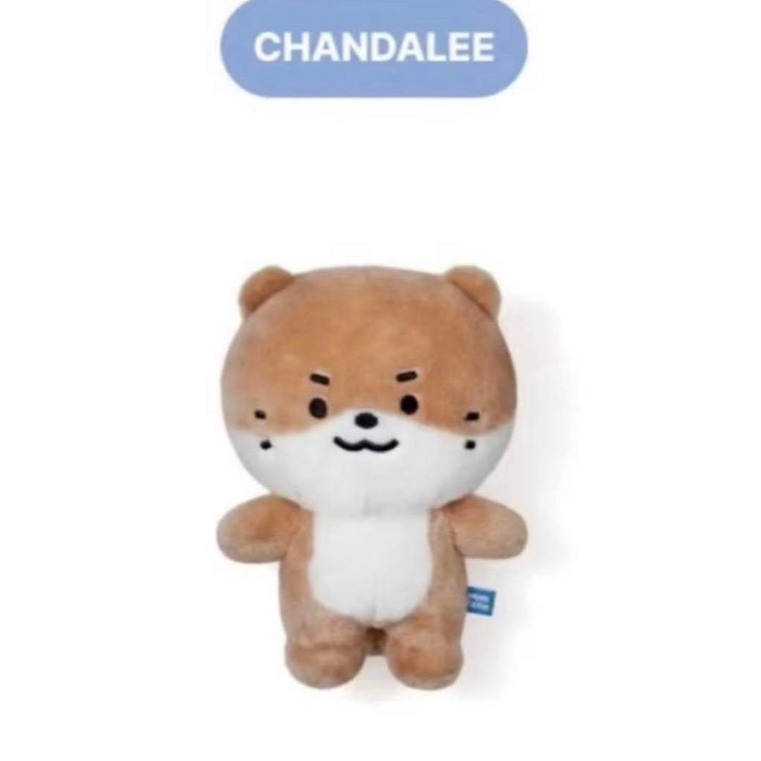 MINITEEN ディノ チャンダリ ぬいぐるみ