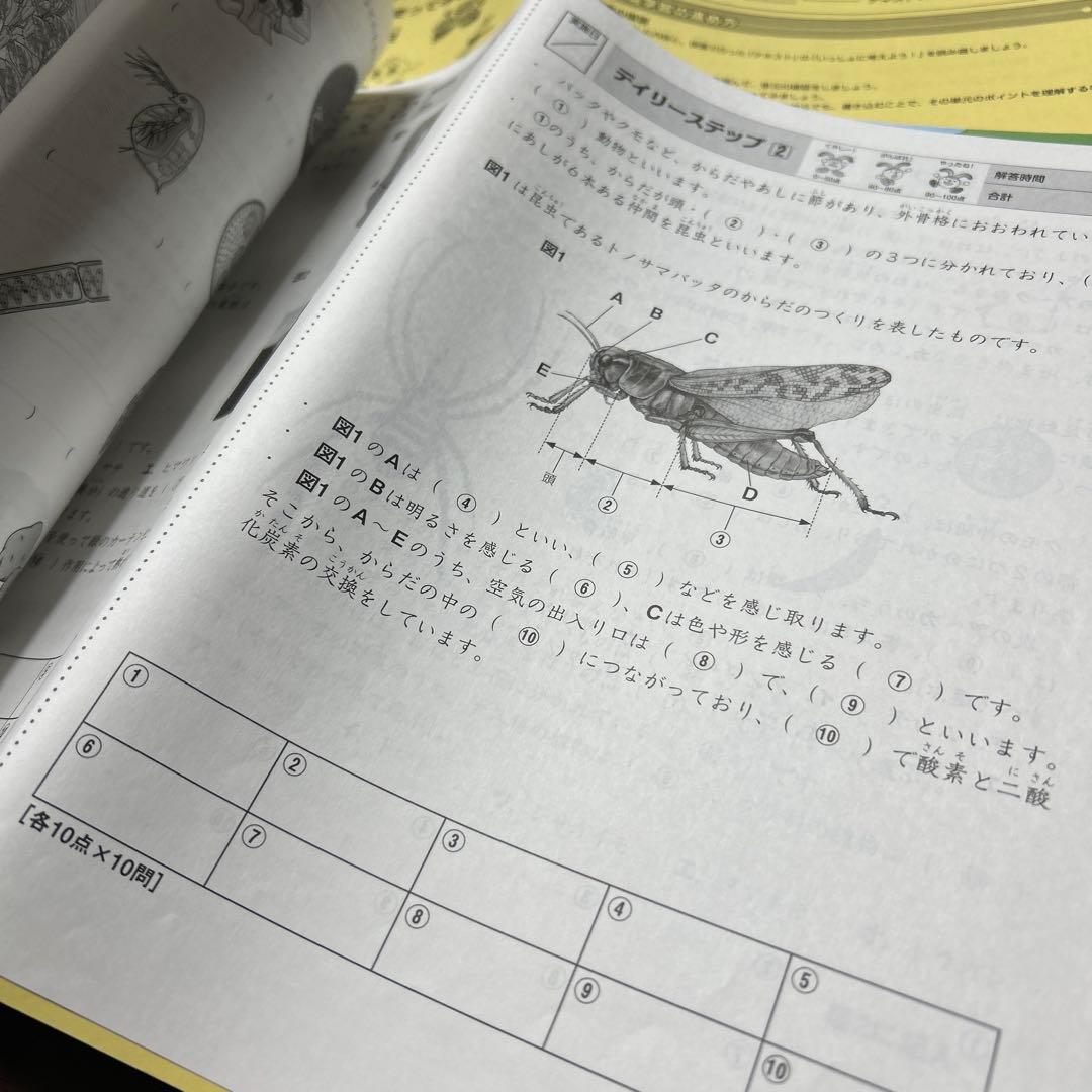 ㉓ AB サピックス　SAPIX 4年　理科　夏期講習　サマーサピックス