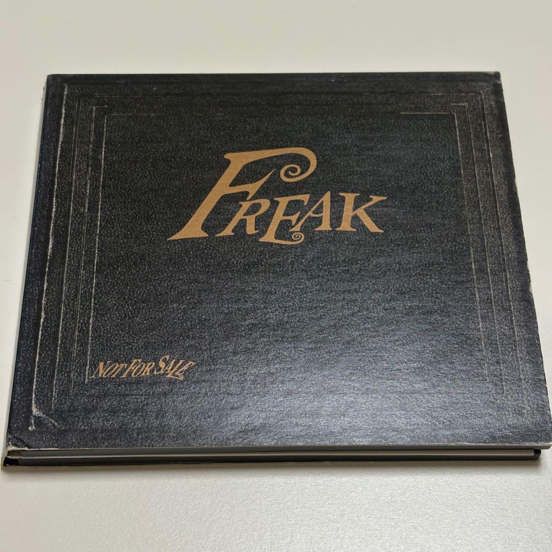 洋楽 PEARL JAM Freak cd