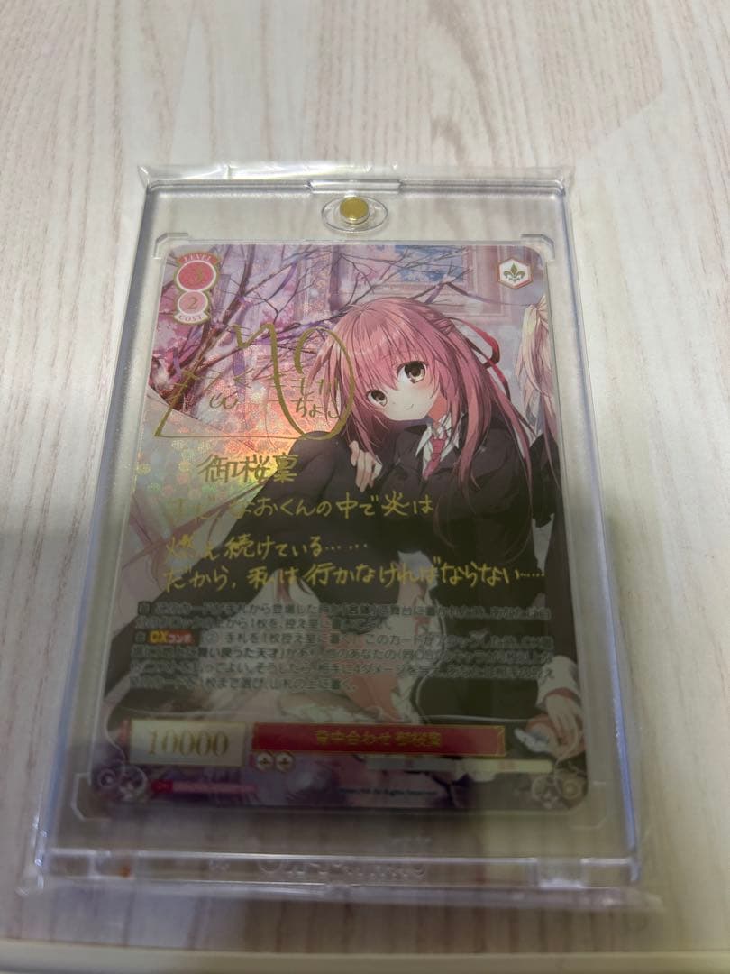 背中合わせ 御桜稟 ssp 枕 ヴァイスシュヴァルツロゼ